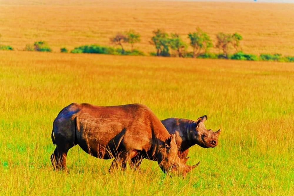 Semadep Safari Camp Bed & Breakfast Sekenani Exterior photo